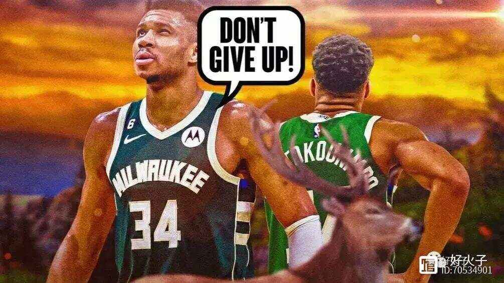 开云体育-夏洛特黄蜂训练开放日，今夜强势反弹引欢呼，德甲在即，身体对抗强度拉满-开云体育